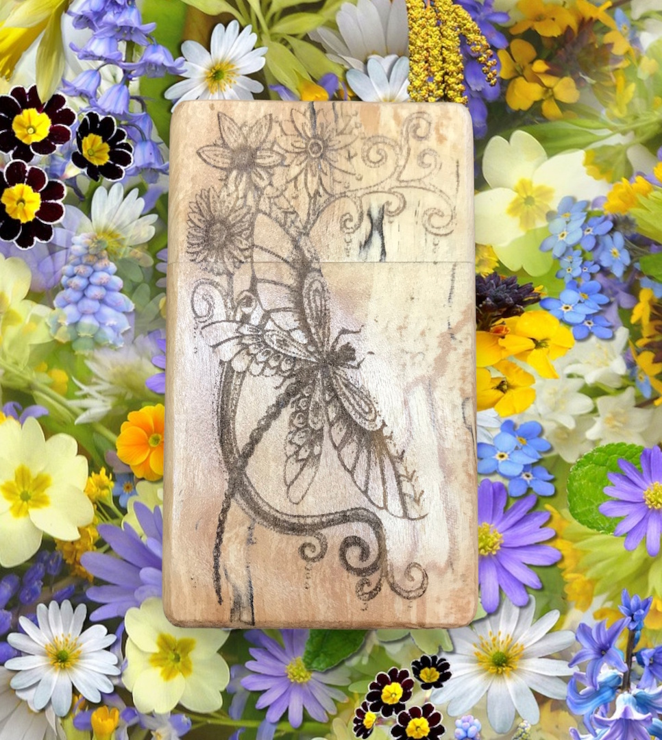 Image of a greenfoxx dugout Dragonfly